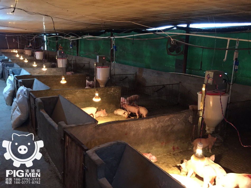 2016上林陆老板万古猪场电动料槽工程记录