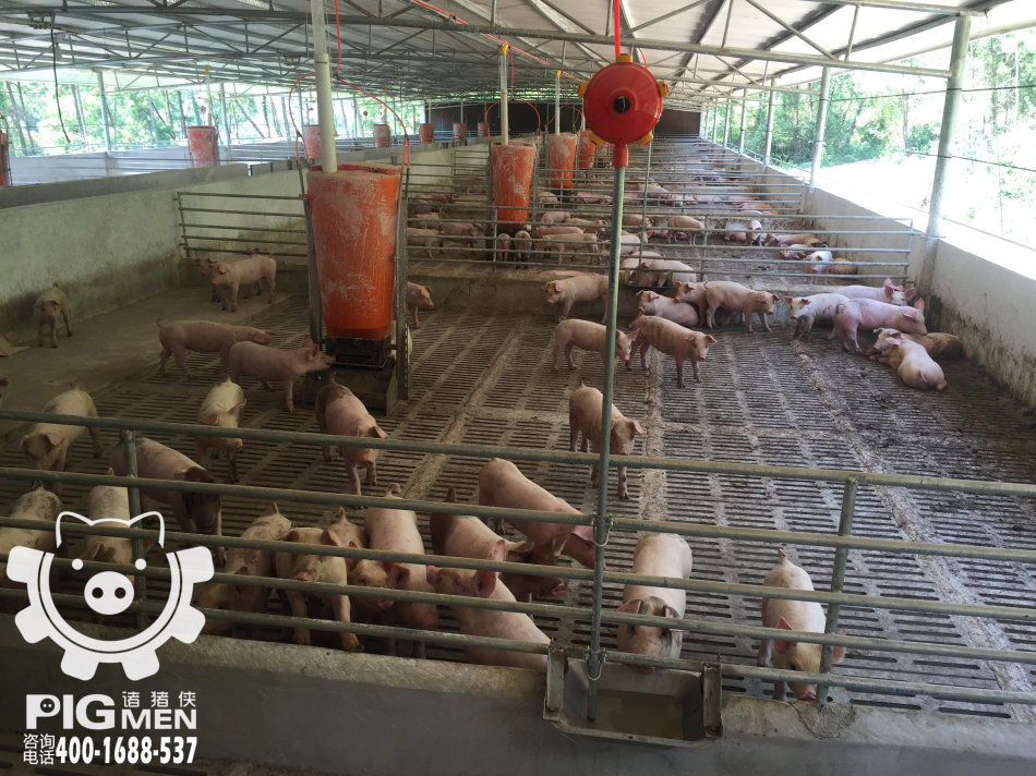 2016贺州绿源猪果业第二栋育肥舍整体工程记录
